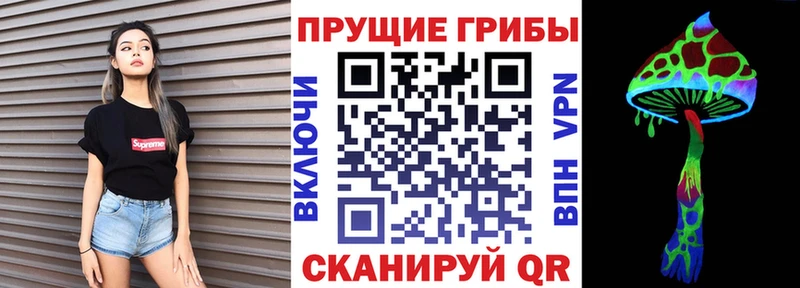 цены   Белоозёрский  blacksprut зеркало  Псилоцибиновые грибы MAGIC MUSHROOMS 